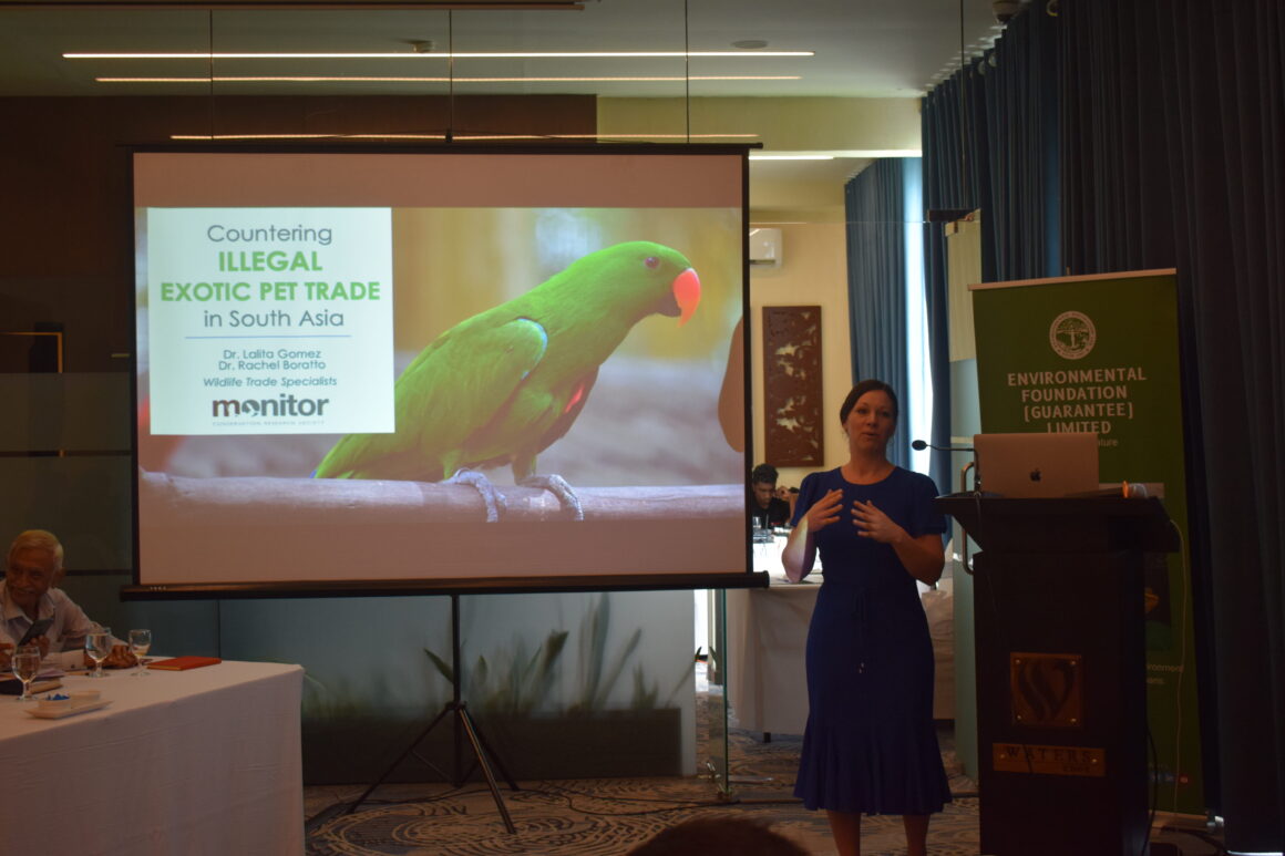 Countering the Illicit Wildlife Pet Trade in South Asia