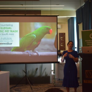 Countering the Illicit Wildlife Pet Trade in South Asia