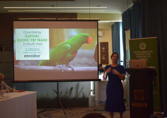 Illicit Wildlife Countering the Illicit Wildlife Pet Trade in South Asia