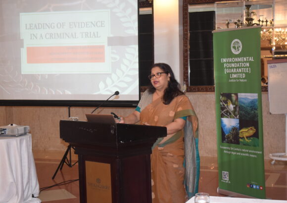 cwt Sri Lanka Combatting Wildlife Trade (CWT) Awareness, Capacity & Empowerment (ACE) Program