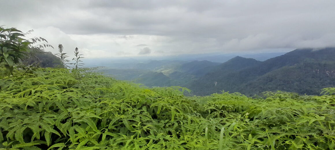 Alienation of Lands by the Mahaweli Authority Case