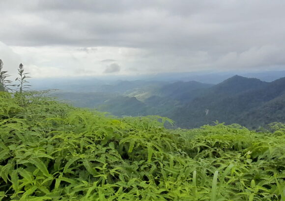 maheweli Alienation of Lands by the Mahaweli Authority Case