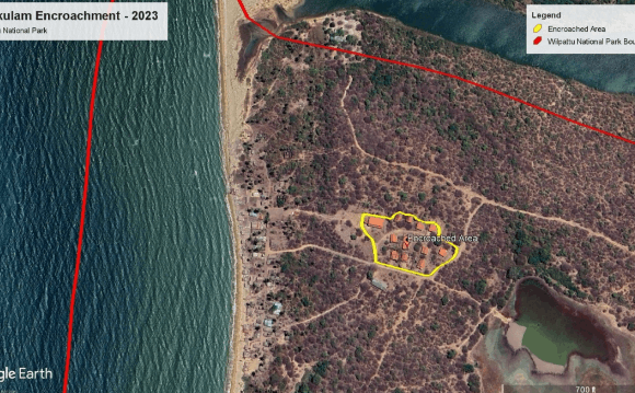Court orders removal of illegal encroachments from Wilpattu National Park