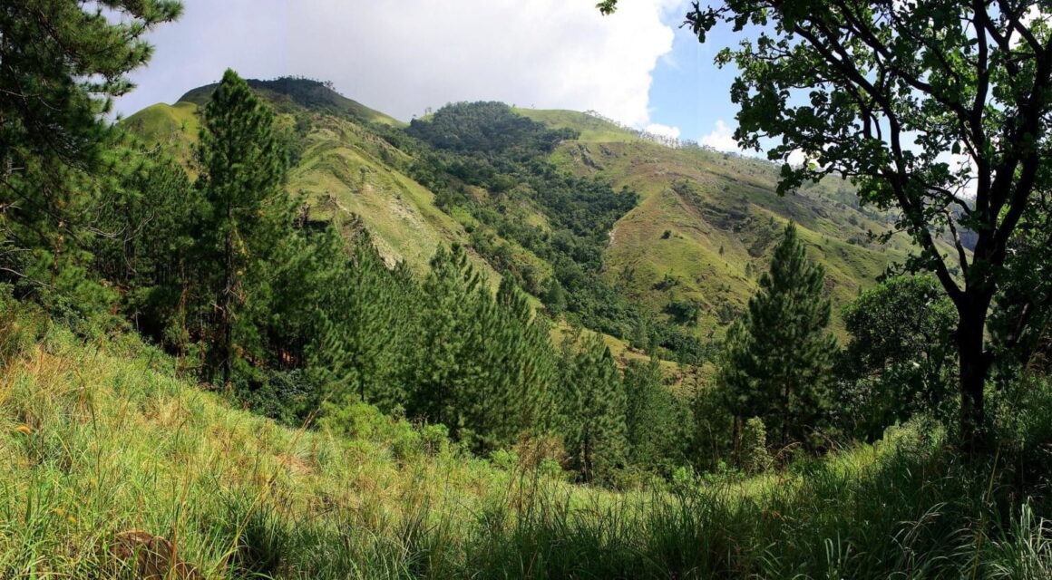 PR Other State Forest FR termination Protection guaranteed for Other State Forests