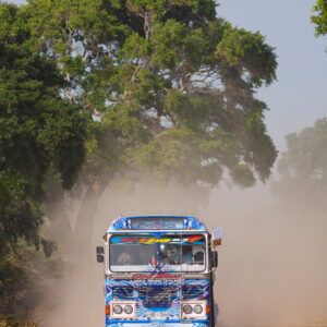 End of the road: Justice restores Wilpattu