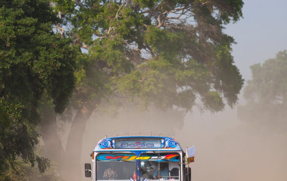 End of the road: Justice restores Wilpattu