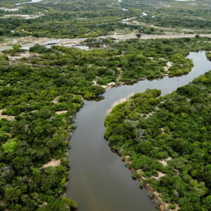 Wilpattu under threat – EFL takes legal battle to court again