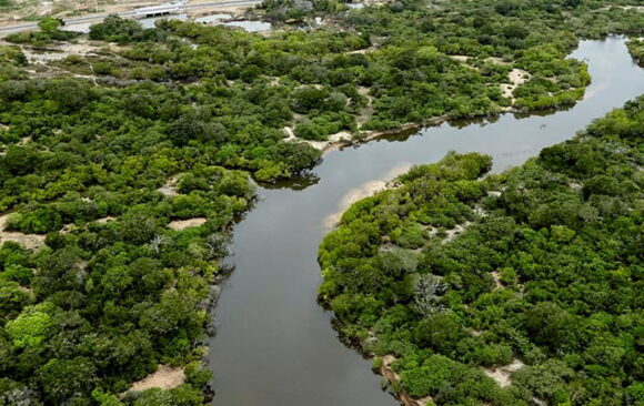 PR Wilpattu Illegal Encroachment Wilpattu under threat – EFL takes legal battle to court again